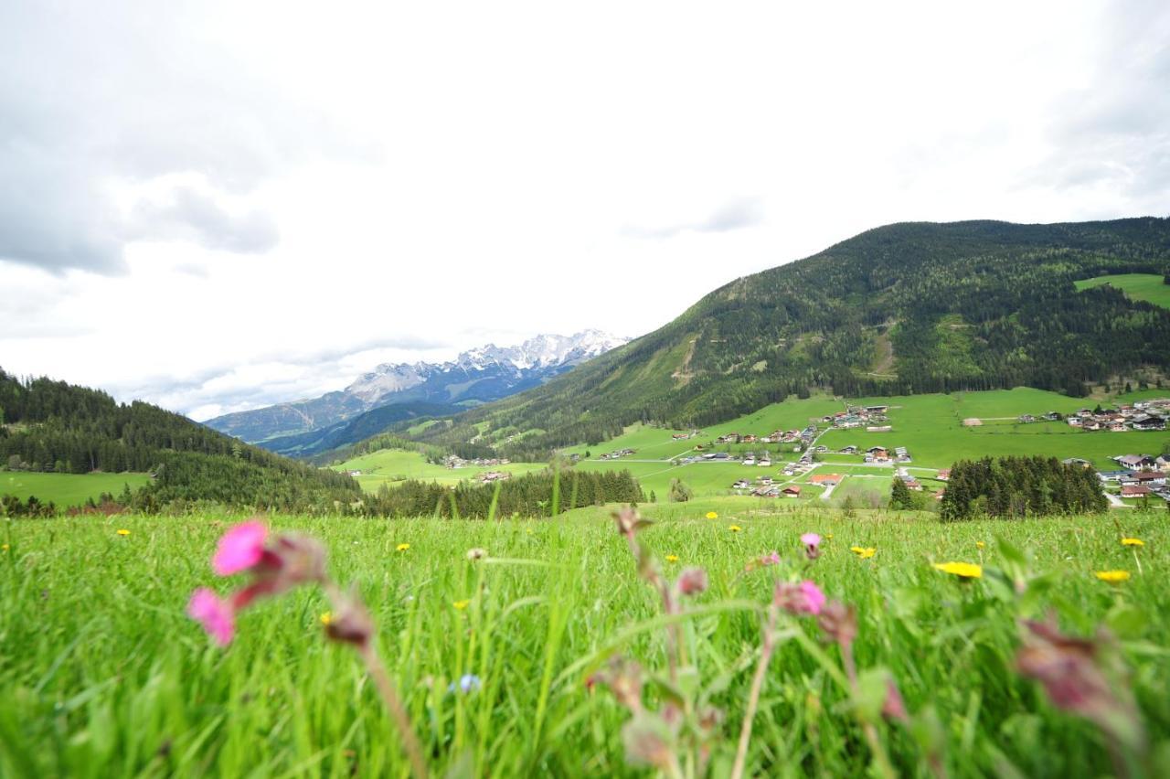 Buttermilchalm Bed & Breakfast Sankt Martin am Tennengebirge Luaran gambar