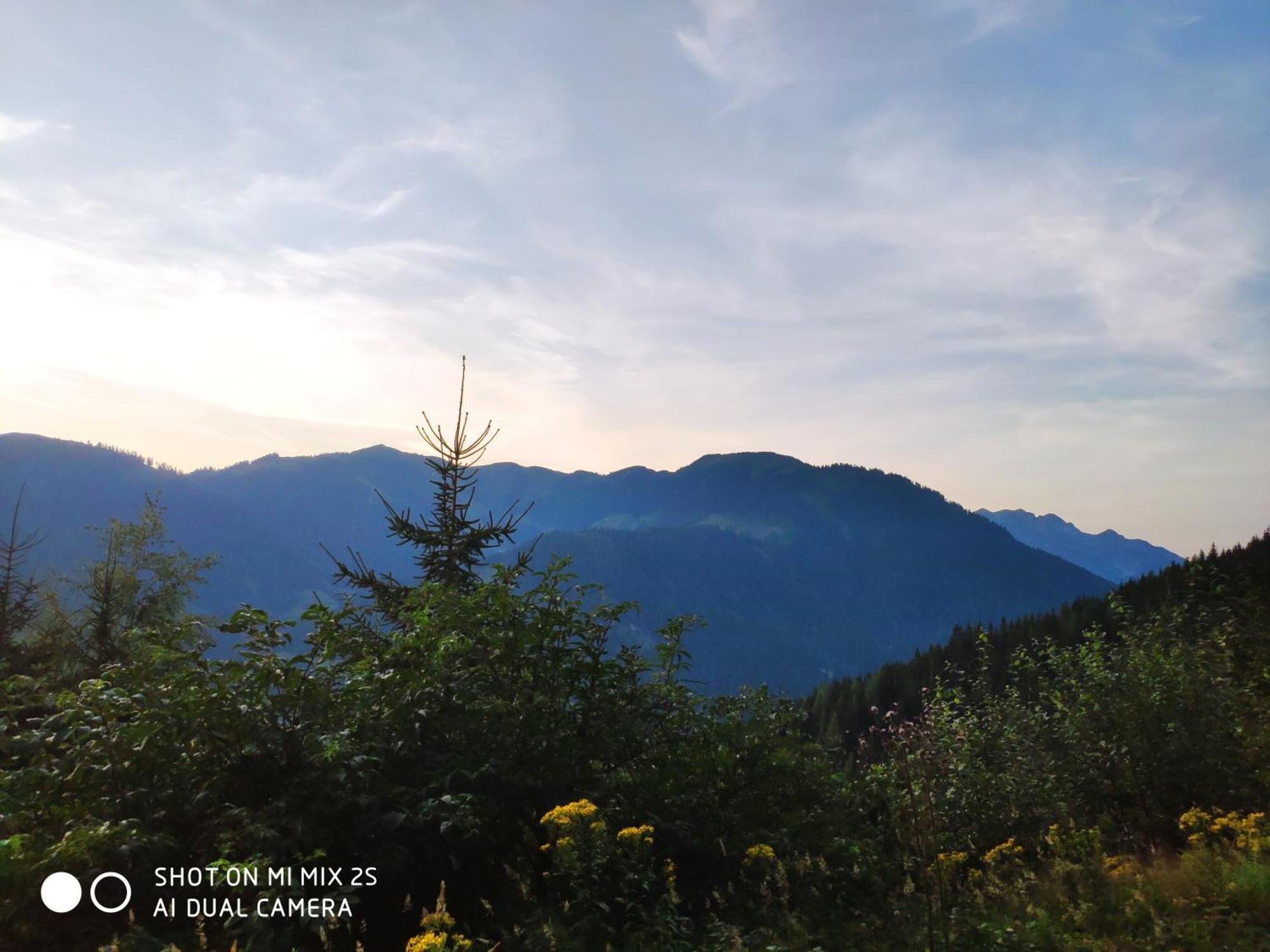 Buttermilchalm Bed & Breakfast Sankt Martin am Tennengebirge Luaran gambar