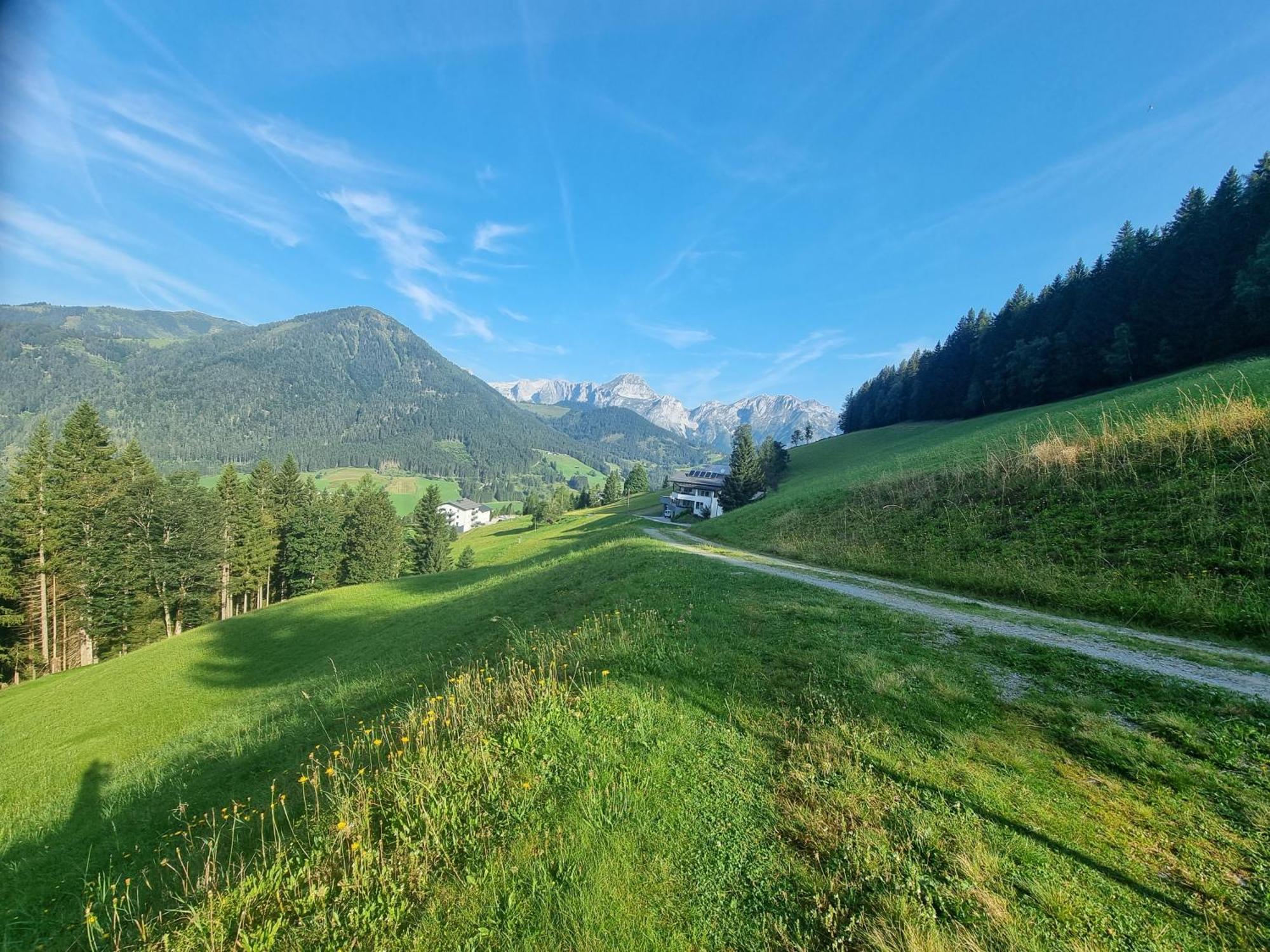 Buttermilchalm Bed & Breakfast Sankt Martin am Tennengebirge Luaran gambar